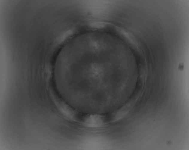 X0000094960758200712131645