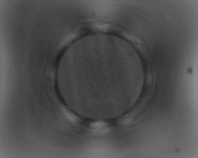 X0000094960759200712131645