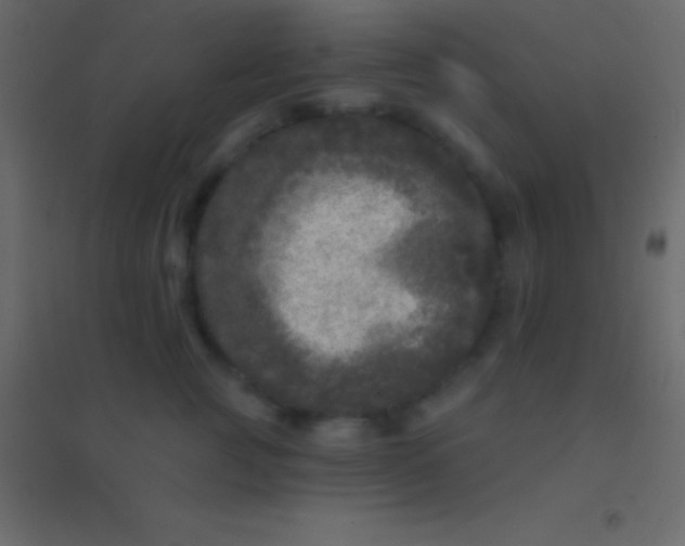 X0000094960761200712131645