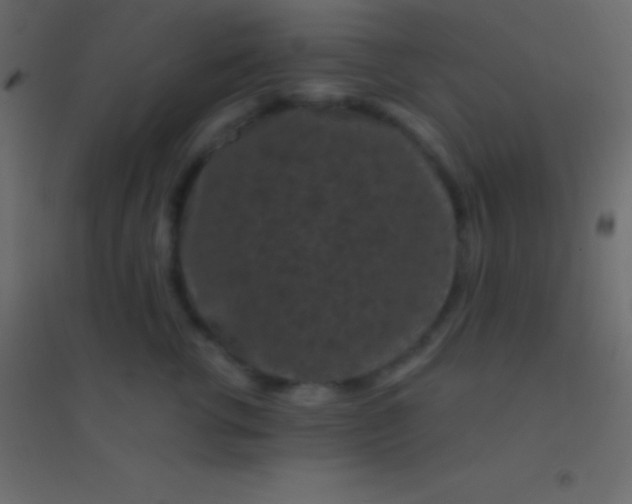 X0000094960762200712131645