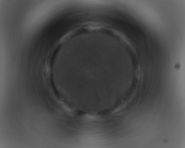 X0000094960763200712131645