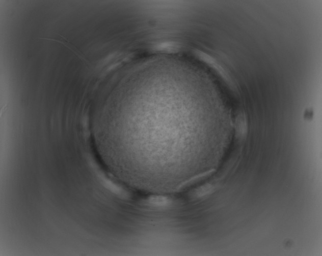 X0000094960764200712131645