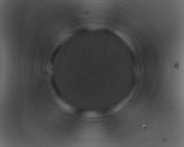 X0000094960766200712131645