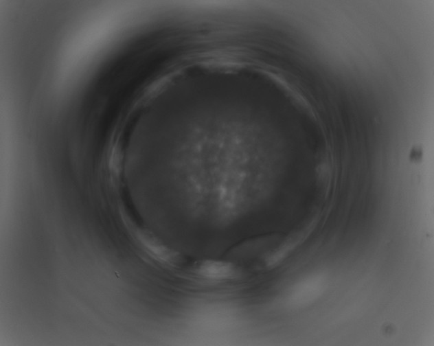 X0000094960767200712131645