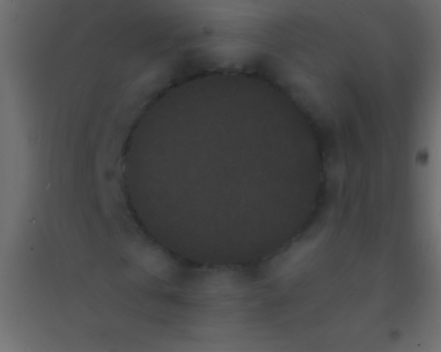 X0000094960769200712131644