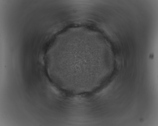 X0000094960770200712131644