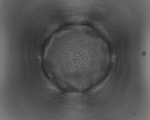 X0000094960771200712131644