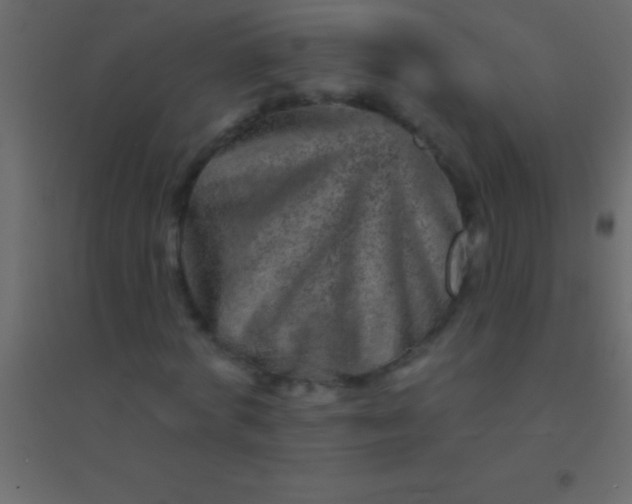 X0000094960772200712131644