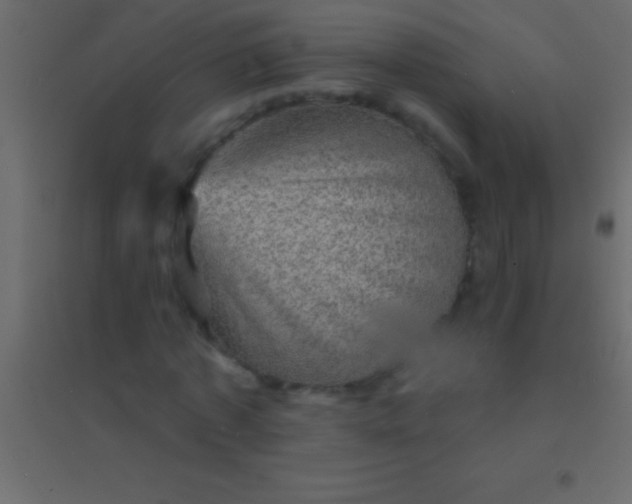 X0000094960773200712131644