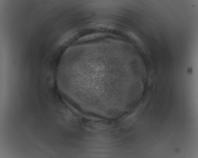 X0000094960774200712131644