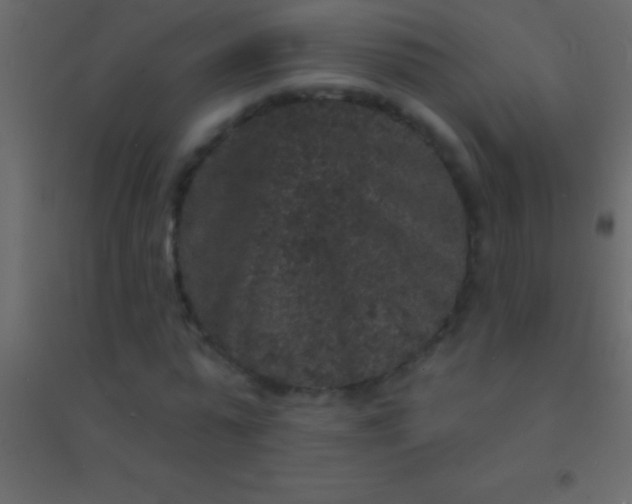 X0000094960775200712131644