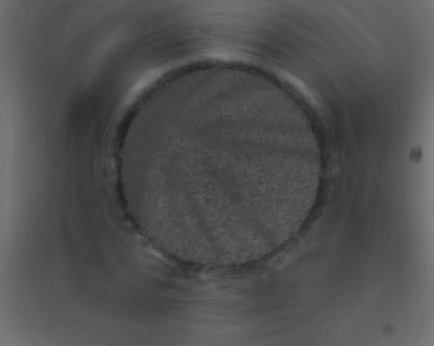 X0000094960776200712131644