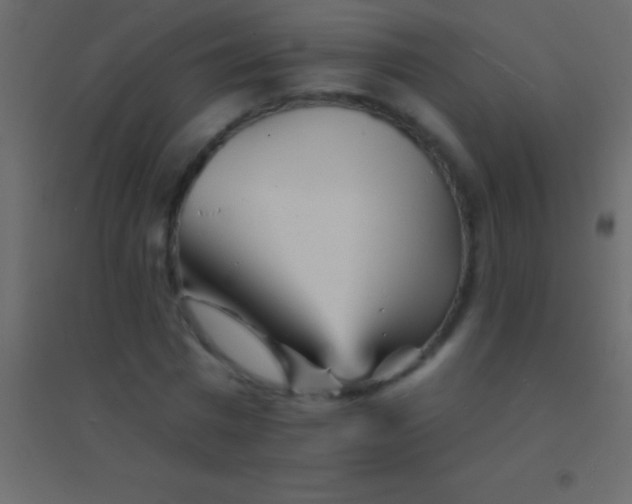 X0000094960777200712131644