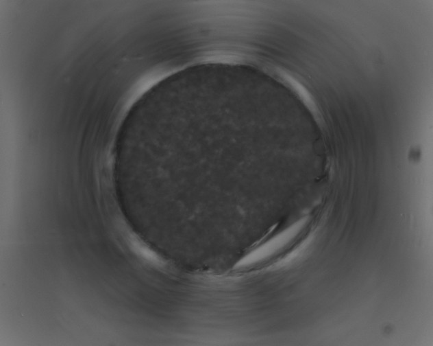 X0000094960779200712131644