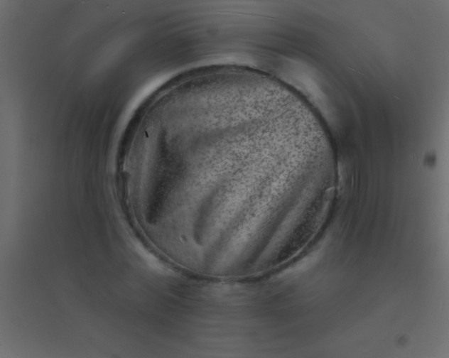 X0000094960780200712131644