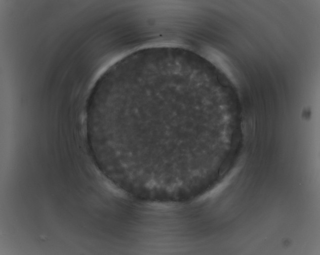 X0000094960781200712131644