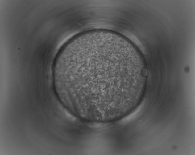 X0000094960782200712131644