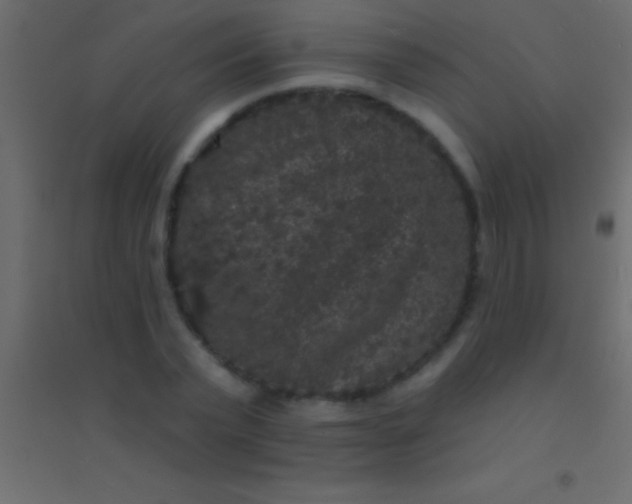 X0000094960783200712131644