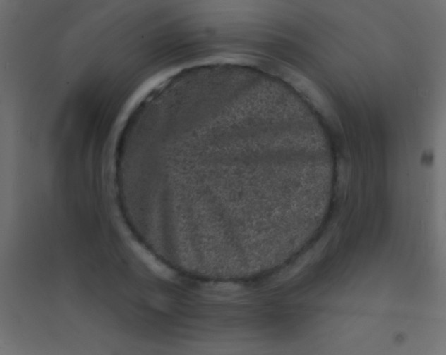 X0000094960784200712131644