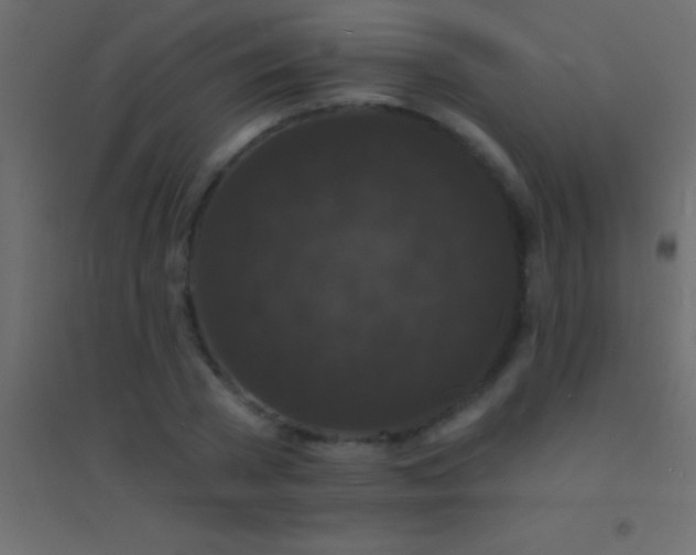 X0000094960785200712131644