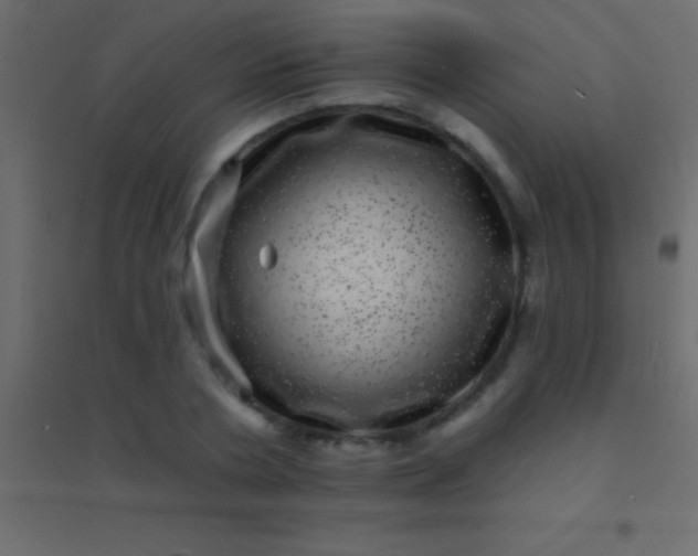 X0000094960786200712131644