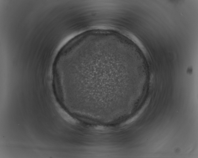 X0000094960787200712131644