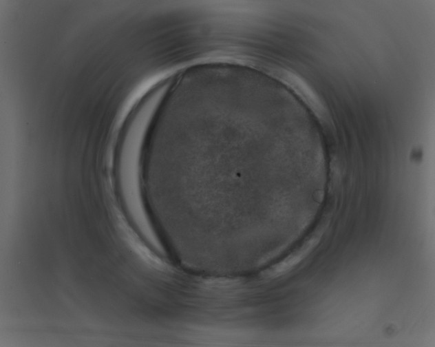 X0000094960788200712131644