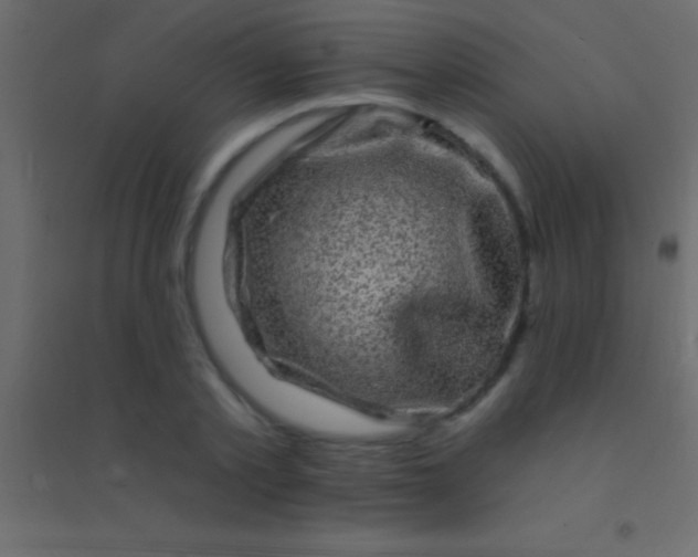 X0000094960789200712131644