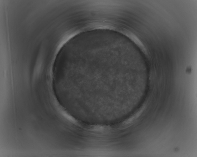 X0000094960790200712131644