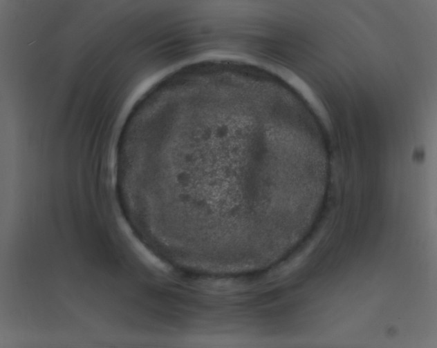 X0000094960791200712131644