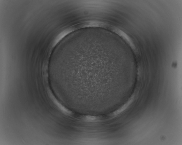 X0000094960794200712131644