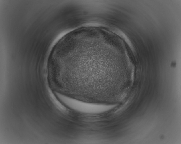 X0000094960795200712131644