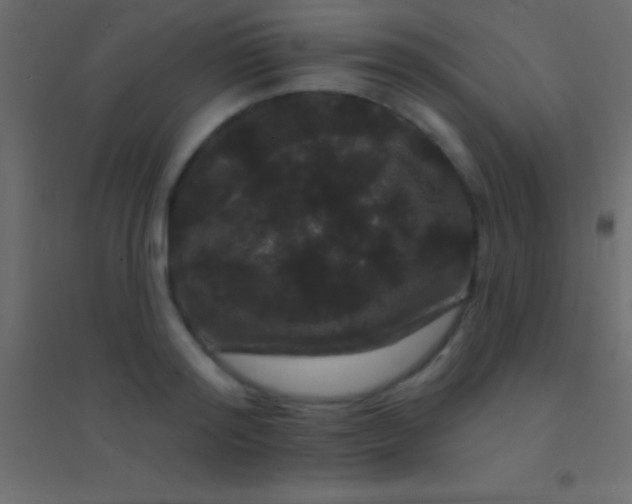 X0000094960796200712131644