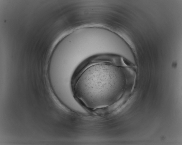 X0000094960797200712131644