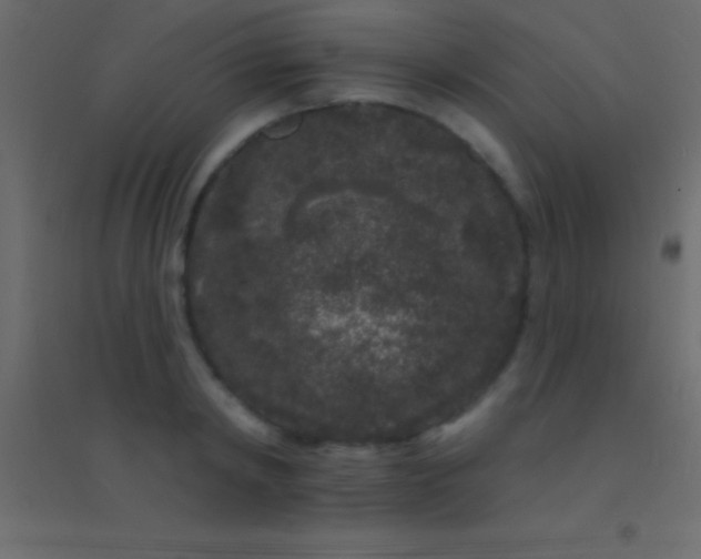 X0000094960798200712131644