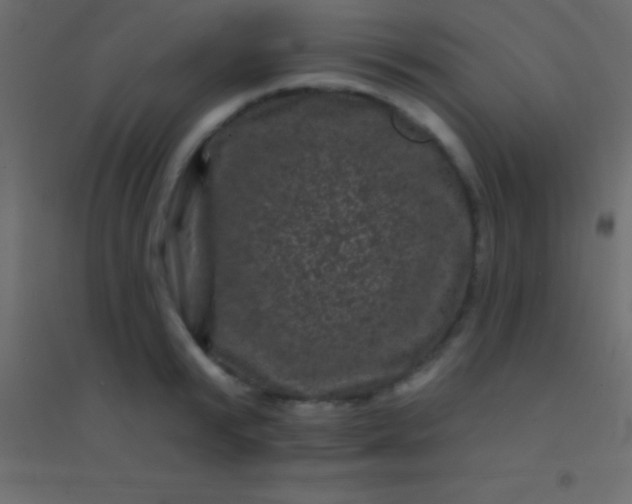 X0000094960799200712131644