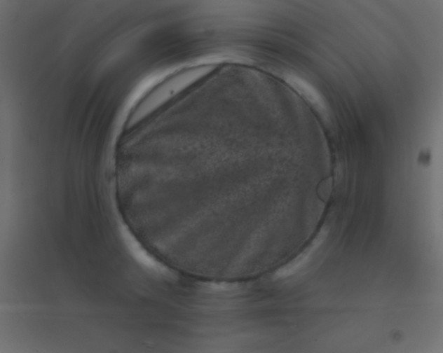 X0000094960800200712131644