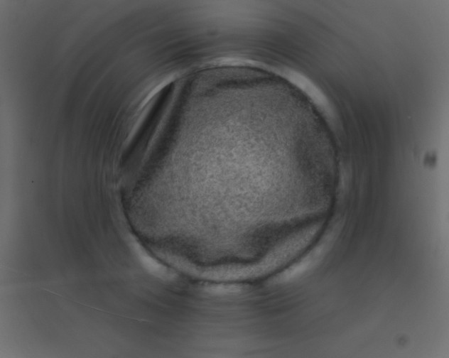 X0000094960801200712131644