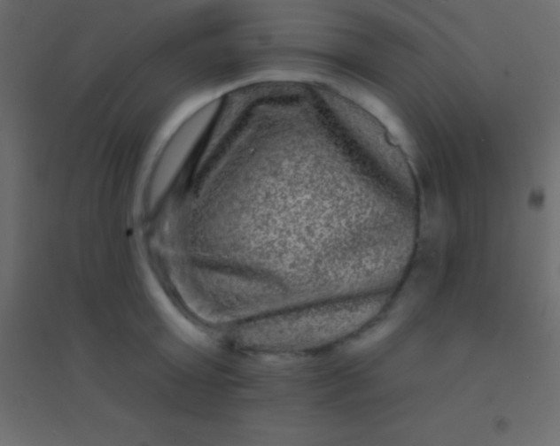 X0000094960803200712131644