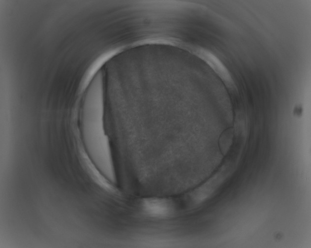 X0000094960804200712131644