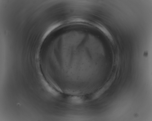 X0000094960806200712131644