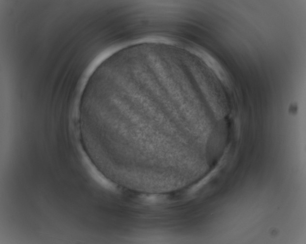 X0000094960808200712131644