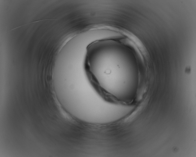 X0000094960809200712131644