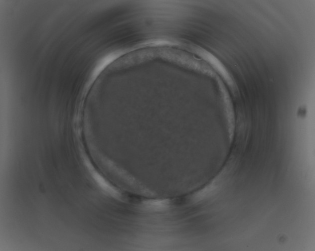 X0000094960810200712131644