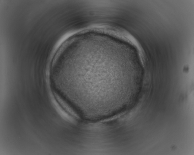 X0000094960811200712131644