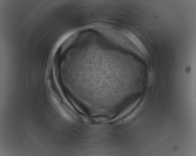 X0000094960812200712131644