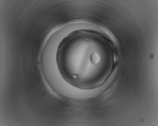 X0000094960813200712131644