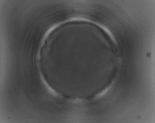 X0000094960815200712131643