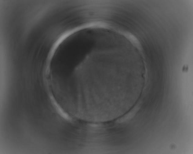 X0000094960816200712131643