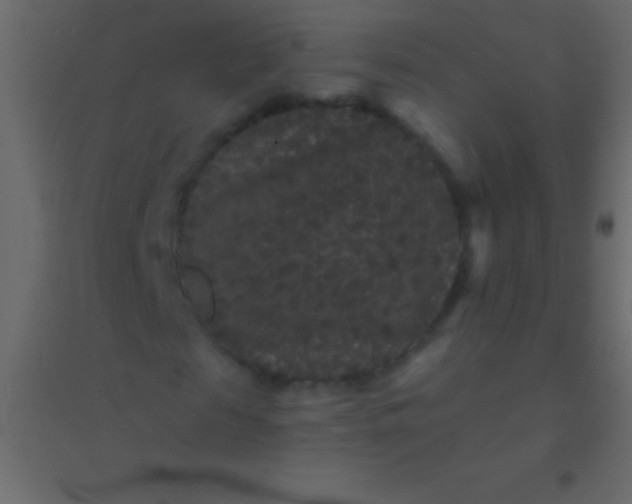 X0000094960817200712131643